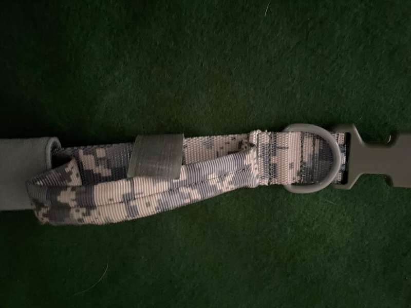 Army Dog Collar : US military dog collar - great condition - never been used