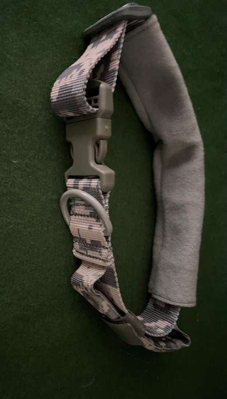 Army Dog Collar : US military dog collar - great condition - never been used