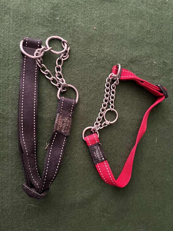 Dog Collars Rogz : 2 x dog collars - medium and large bread dogs - nice condition