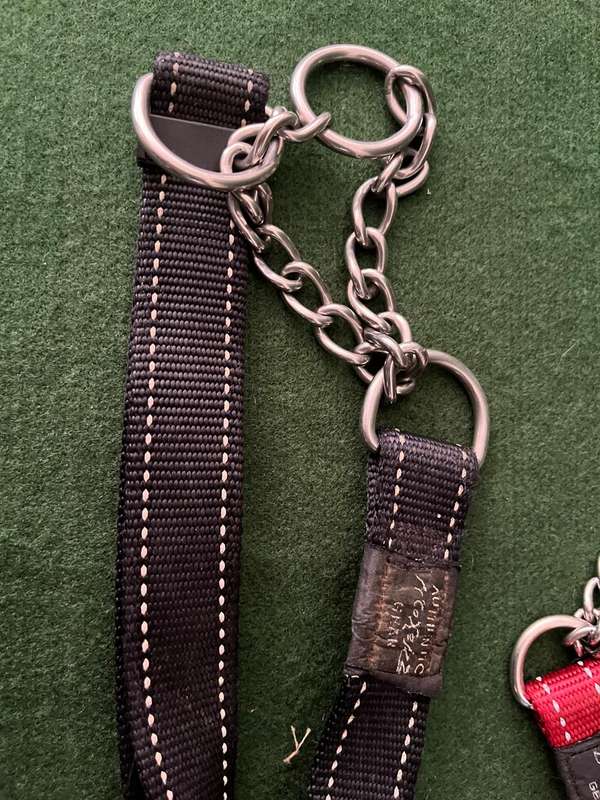 Dog Collars Rogz : 2 x dog collars - medium and large bread dogs - nice condition