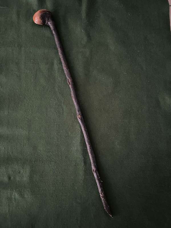 Fighting stick