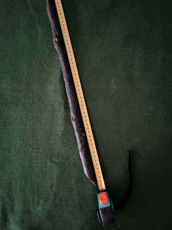 Fighting stick