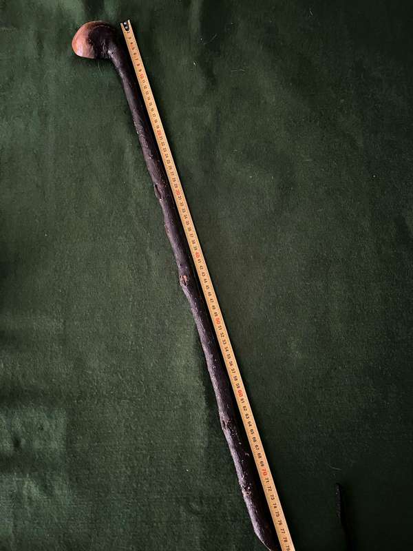 Fighting stick