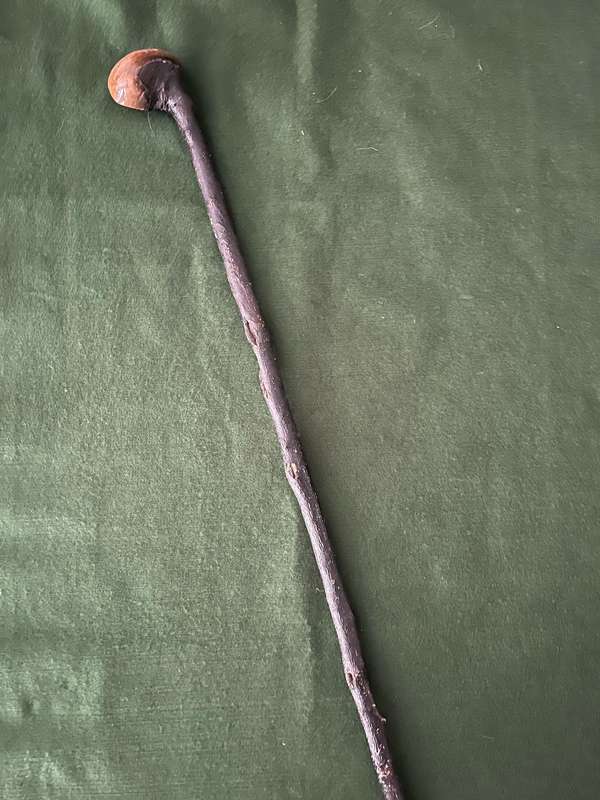 Fighting stick