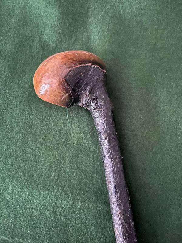 Fighting stick