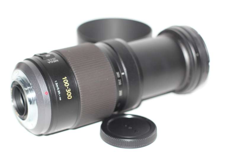 Panasonic LUMIX G VARIO 100-300mm F4.0-5.6 MEGA O.I.S