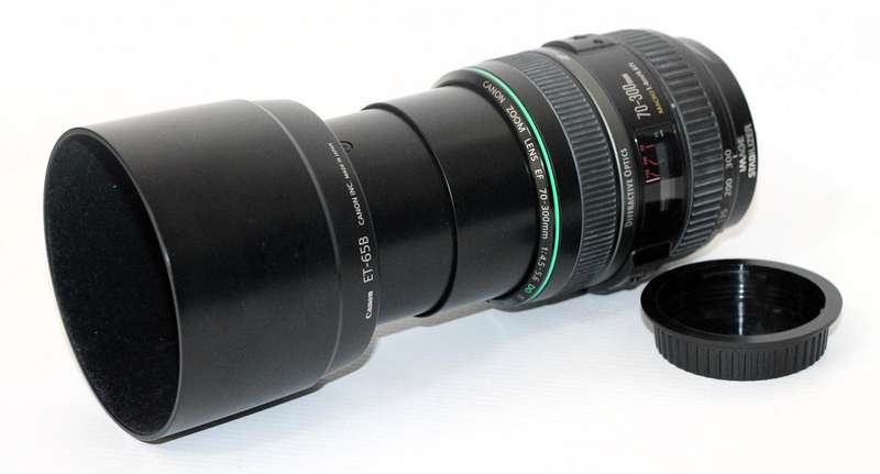 Canon EF 70-300mm f/4.5-5.6 DO IS USM