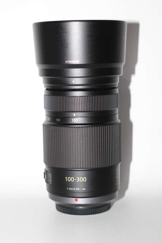 Panasonic LUMIX G VARIO 100-300mm F4.0-5.6 MEGA O.I.S