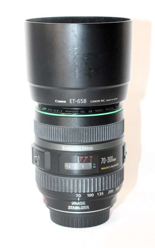 Canon EF 70-300mm f/4.5-5.6 DO IS USM
