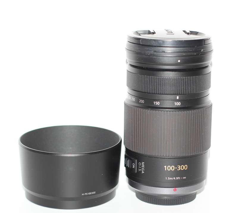 Panasonic LUMIX G VARIO 100-300mm F4.0-5.6 MEGA O.I.S