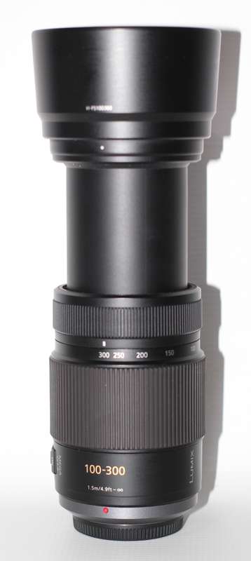 Panasonic LUMIX G VARIO 100-300mm F4.0-5.6 MEGA O.I.S