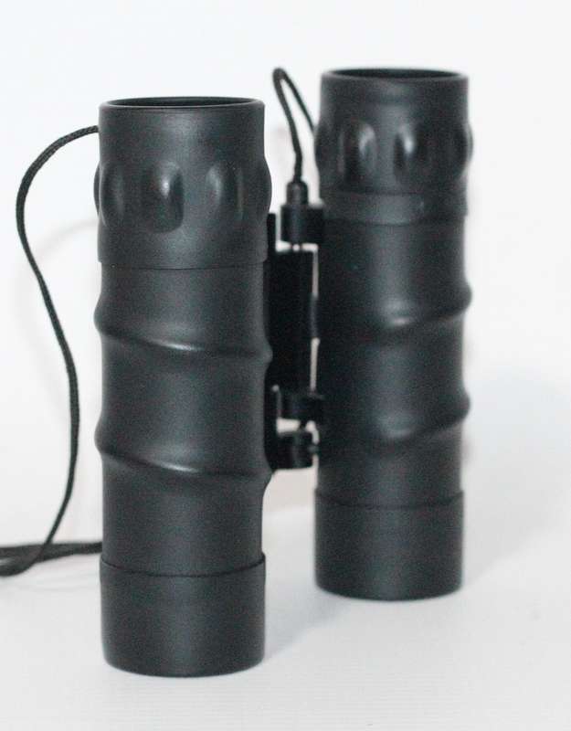 ULTRA OPTEC Sport Optics 10x25 Compact Binocular (Black)