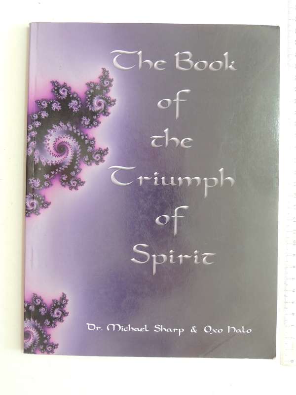 The Book Of The Triumph Of Spirit: The Lightworkers New Age, New Energy Tarot System - Michael Sharp
