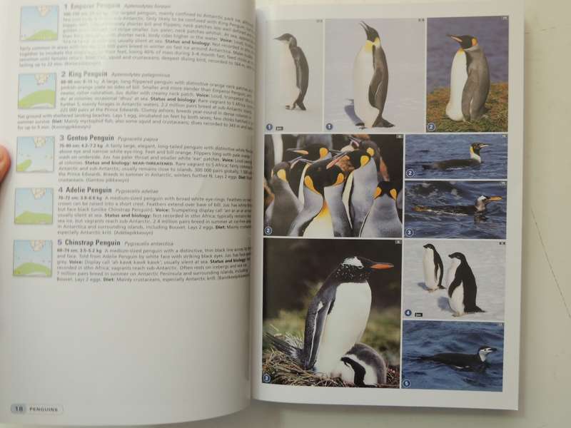 Complete Photographic Field Guide Birds of Southern Africa - Ian Sinclair, Peter Ryan