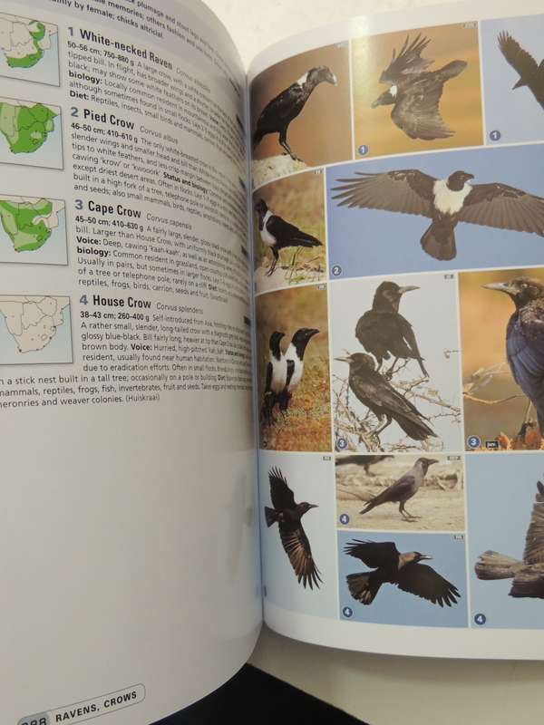 Complete Photographic Field Guide Birds of Southern Africa - Ian Sinclair, Peter Ryan