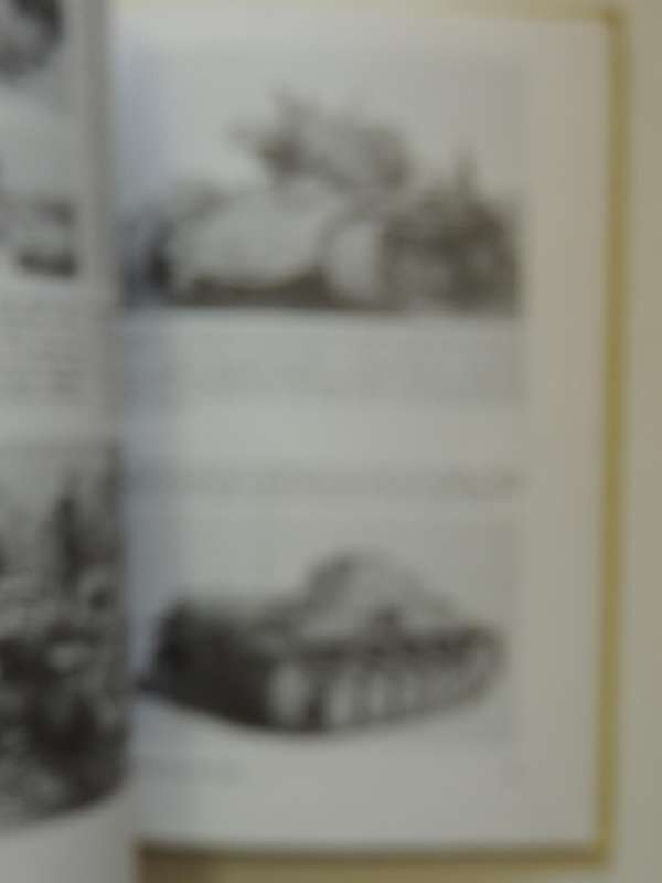 Airfix Magazine Guide 8: German Tanks Of World War 2 - Terry Gander & Peter Chamberlain