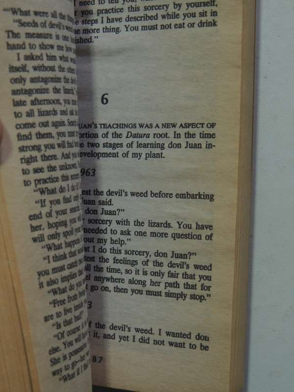 The Teachings of Don Juan: A Yaqui Way of Knowledge - Carlos Castaneda