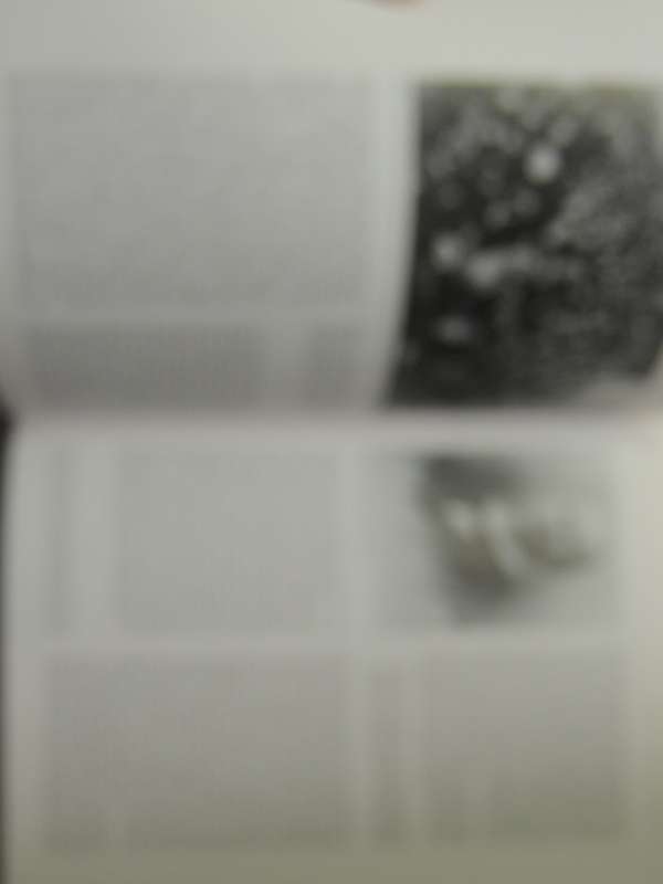 Jan Smuts: An Illustrated Biography - Trewhella Cameron