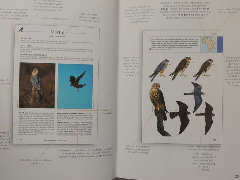Sasol Birds of Prey of Africa and its Islands - Alan & Meg Kemp