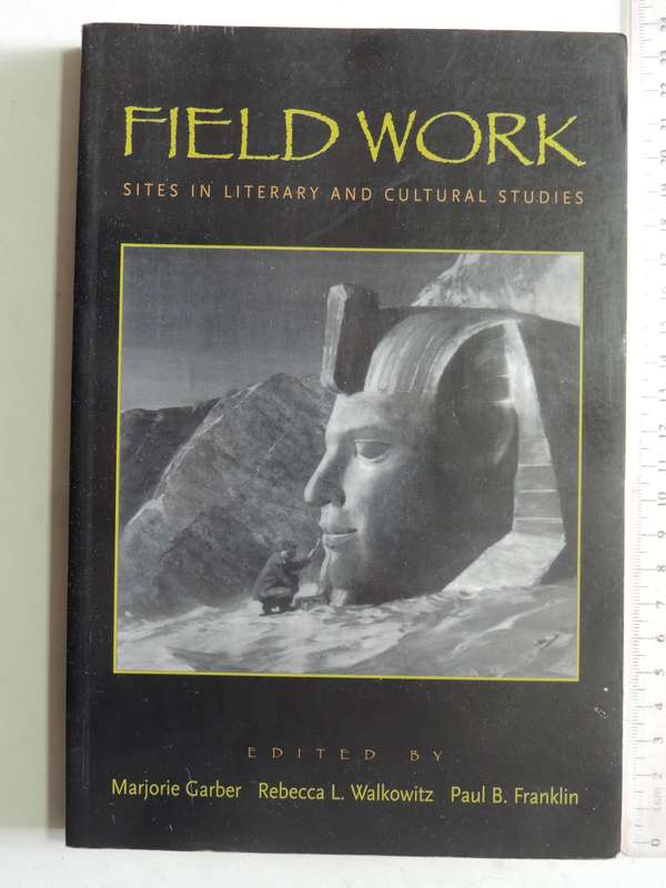 Field Work: Sites In Literary And Cultural Studies- Marjorie Garber, Rebecca L Walkowitz, Paul B