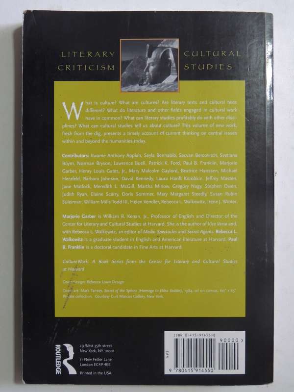 Field Work: Sites In Literary And Cultural Studies- Marjorie Garber, Rebecca L Walkowitz, Paul B