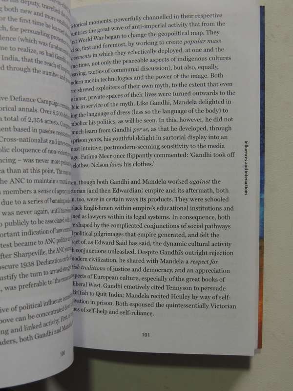 Nelson Mandela : A Very Short Introduction - Elleke Boehmer