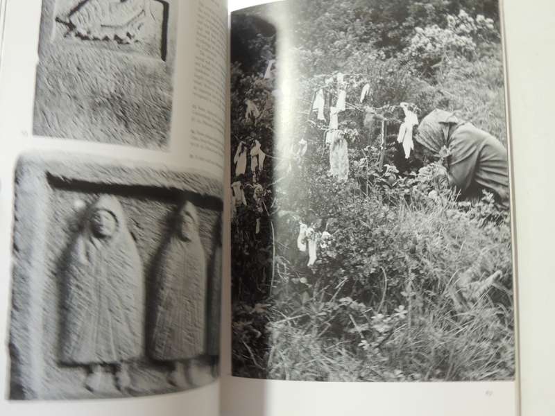 Celtic Mysteries: The Ancient Religion - John Sharkey