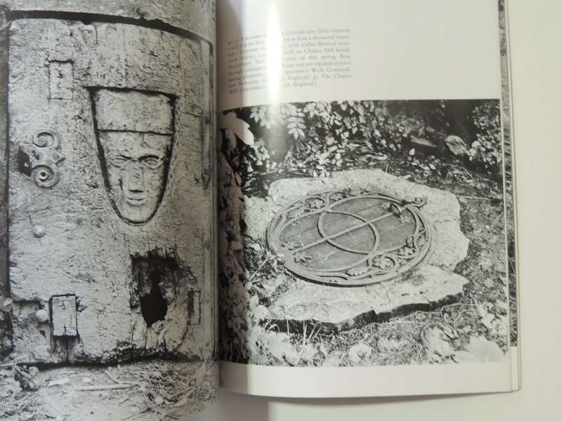 Celtic Mysteries: The Ancient Religion - John Sharkey