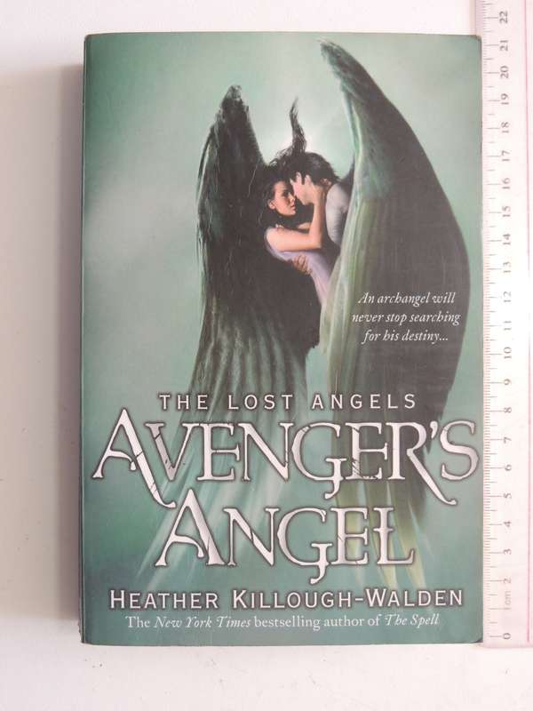 Avenger's Angel - The Lost Angels Vol 1 - Heather Killough-Walden