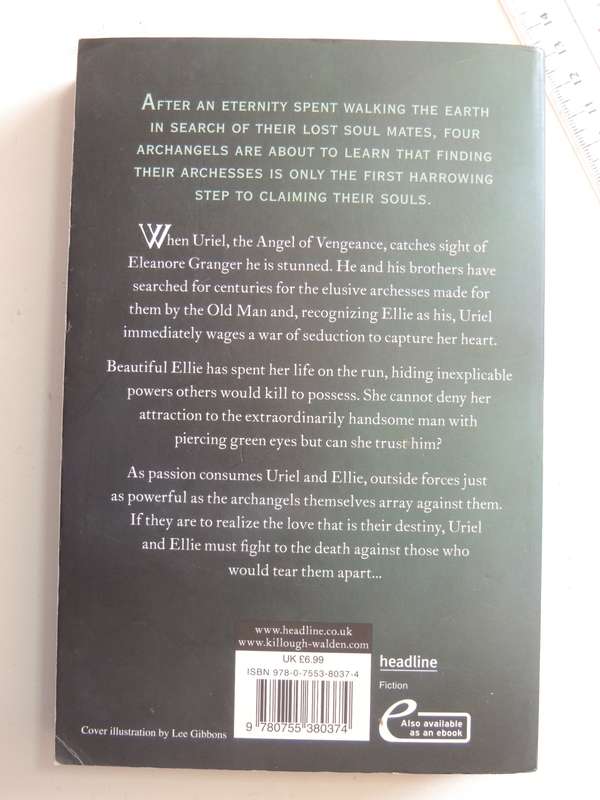 Avenger's Angel - The Lost Angels Vol 1 - Heather Killough-Walden