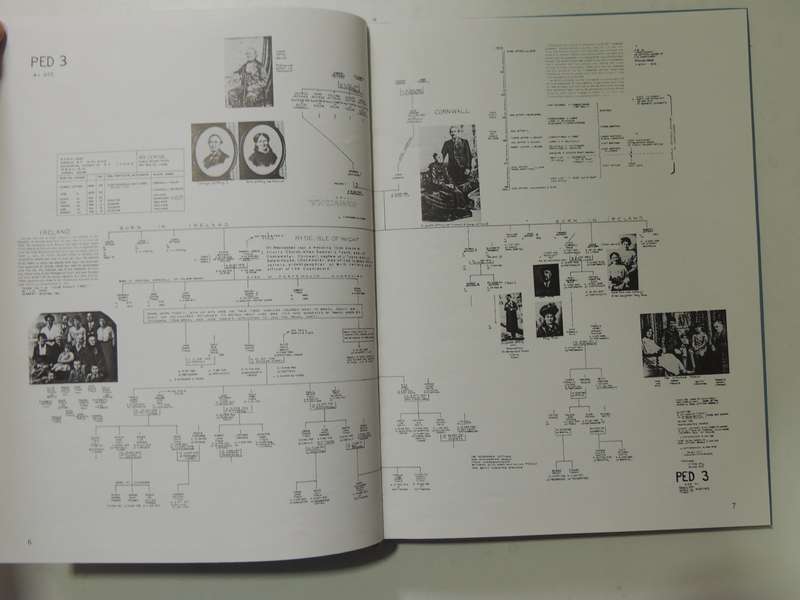 Step-By-Step Guide To Tracing Your Ancestors - D.M. Field
