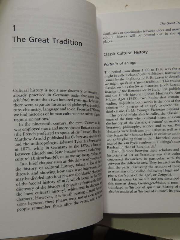 What Is Cultural History- Peter Burke