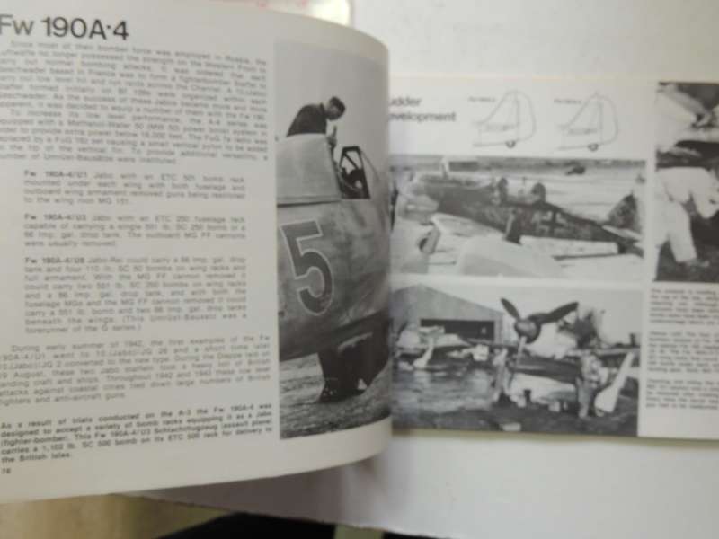 Squadron / Signal Publications Aircraft No. 19: Focke Wulf FW 190 In Action - Jerry L Campbell