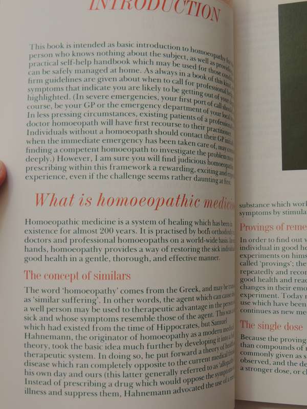 Headway Lifeguides: Homoeopathy - Beth MacEoin