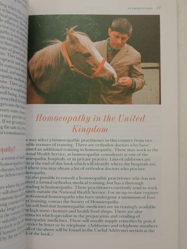 Headway Lifeguides: Homoeopathy - Beth MacEoin