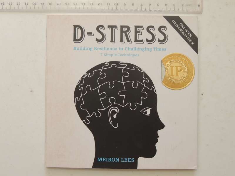 D-Stress: Building Resilience In Challenging Times - Meiron Lees