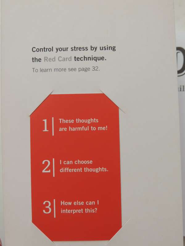 D-Stress: Building Resilience In Challenging Times - Meiron Lees