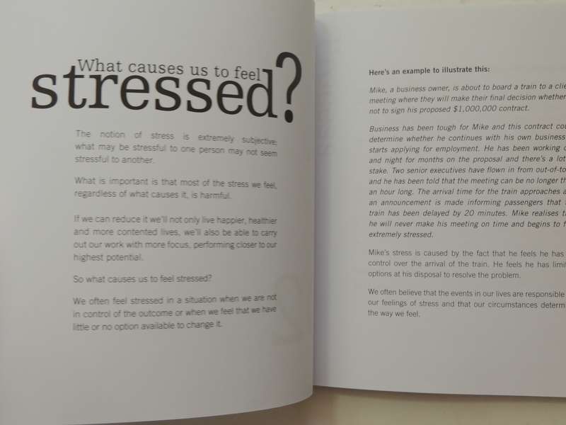 D-Stress: Building Resilience In Challenging Times - Meiron Lees