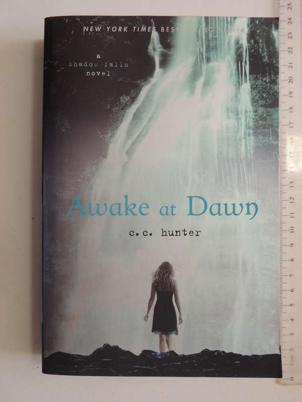 Awake At DawnC.C. Hunter