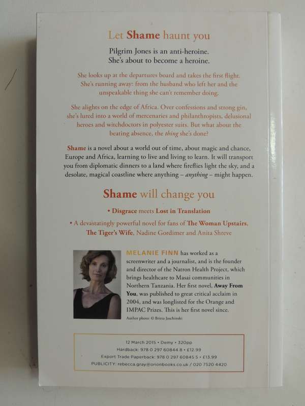 Shame - Melanie Finn