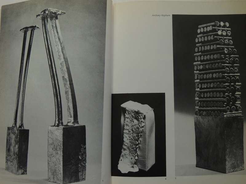 Art Of The Modern Potter - Tony Birks