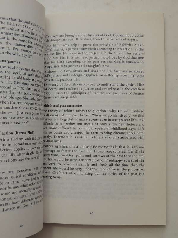 Essentials Teachings Of Hinduism: Veda Niketan Publications Series Book Three Pandit Nardev Vedalank