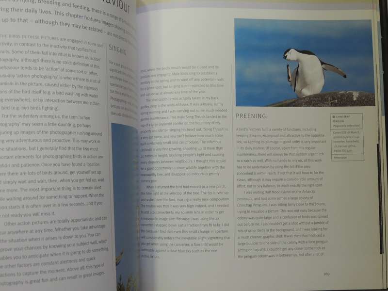 Creative Bird Photography - Bill Coster