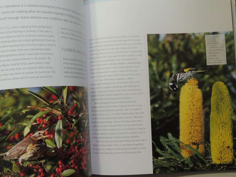 Creative Bird Photography - Bill Coster