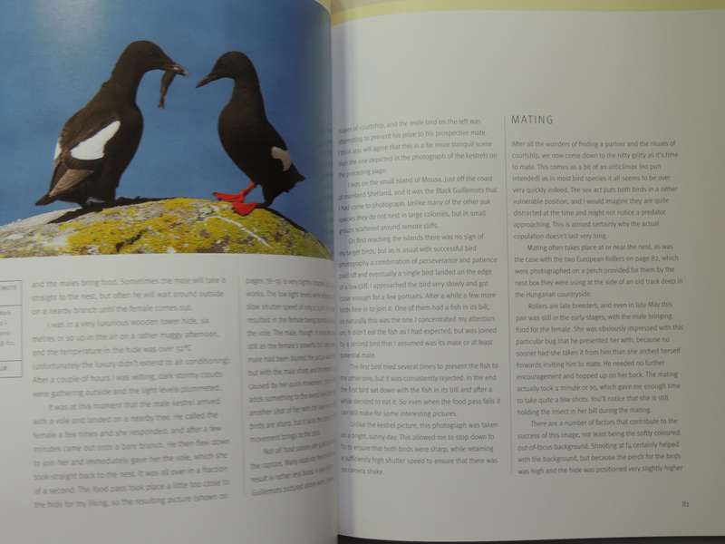 Creative Bird Photography - Bill Coster