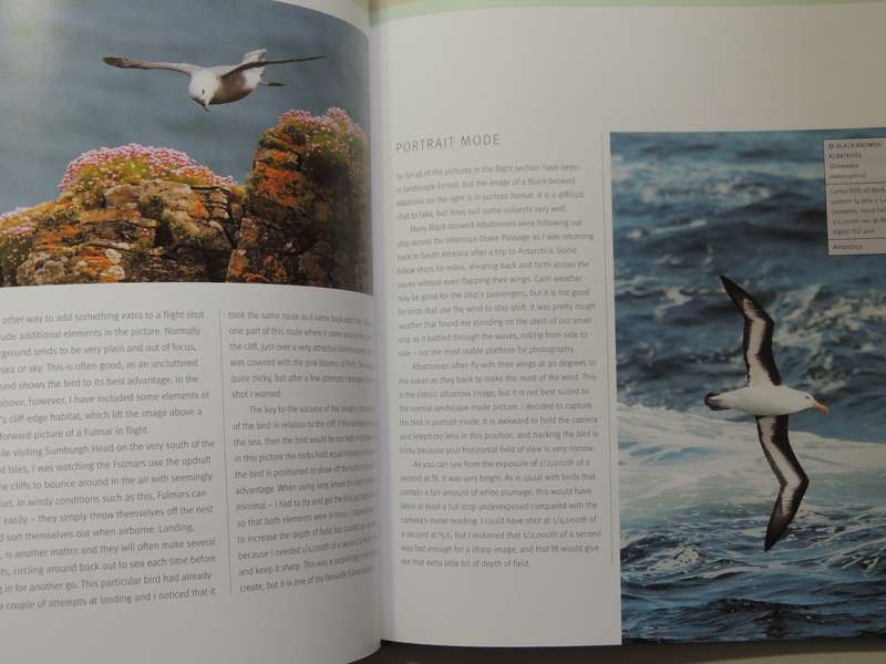 Creative Bird Photography - Bill Coster