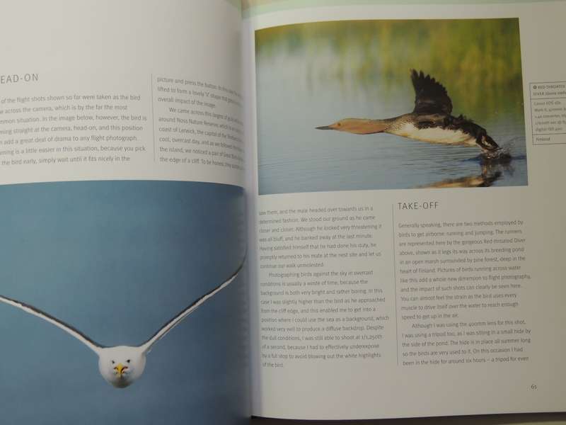 Creative Bird Photography - Bill Coster