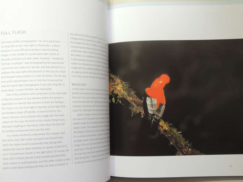 Creative Bird Photography - Bill Coster