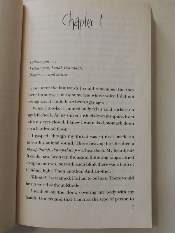 Infinite Days - Rebecca Maizel