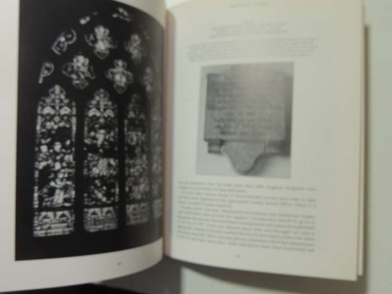 Debrett's Guide To Tracing Your Ancestry - Noel Currer-Briggs & Royston Gambier
